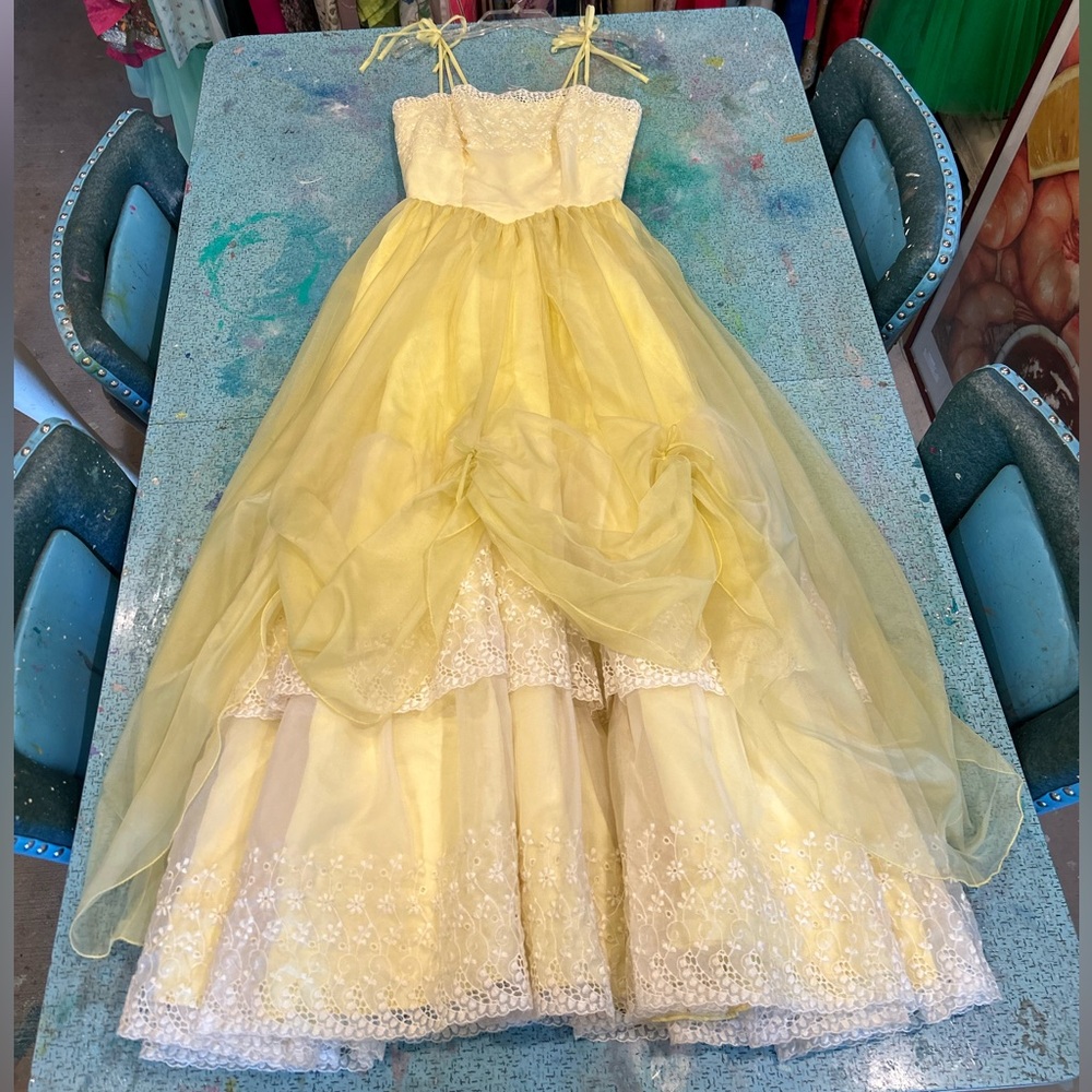 Belle’s Beautiful Vintage Gown